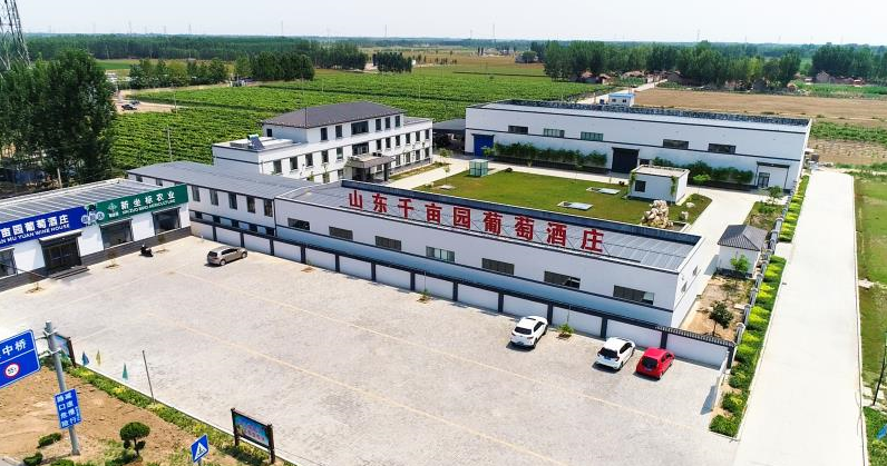 山东2025澳门原料1688大全葡萄酒庄.png